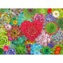 Puzzle plante suculente 500 piese